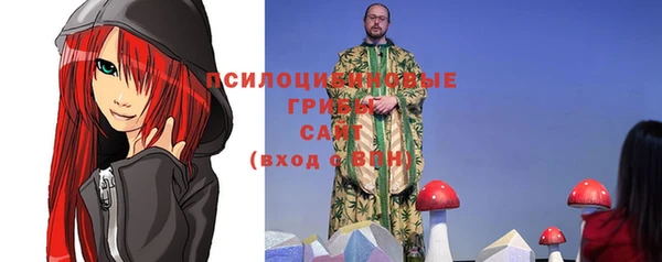 ешки Верхний Тагил