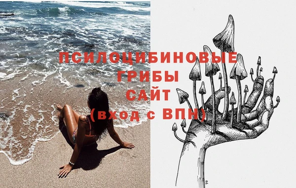 ешки Верхний Тагил