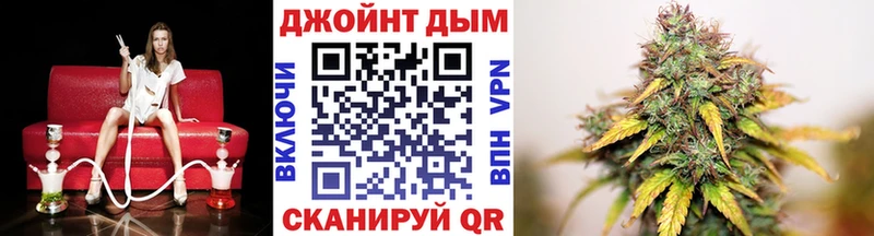 дарнет шоп  Владимир  Бошки Шишки гибрид 
